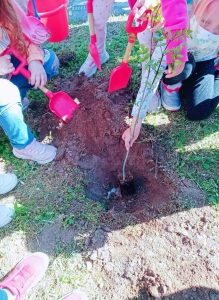 received 729856884883572