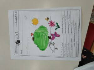 IMG 3e342130940a3b4d18149264b26dd2ac V