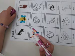 IMG 5c370d1823a13b35b6531f83657b39e7 V