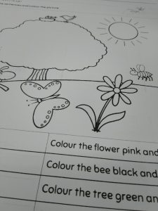 IMG e70822cbca497fe777b6a5b5a850d0d6 V