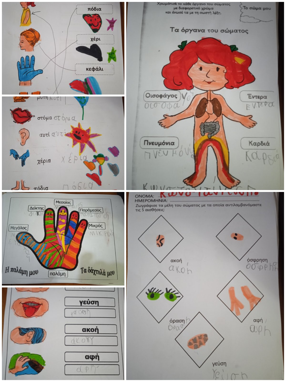 IMG 5a11f8fd1fe9fa93ec35353693d28979 V