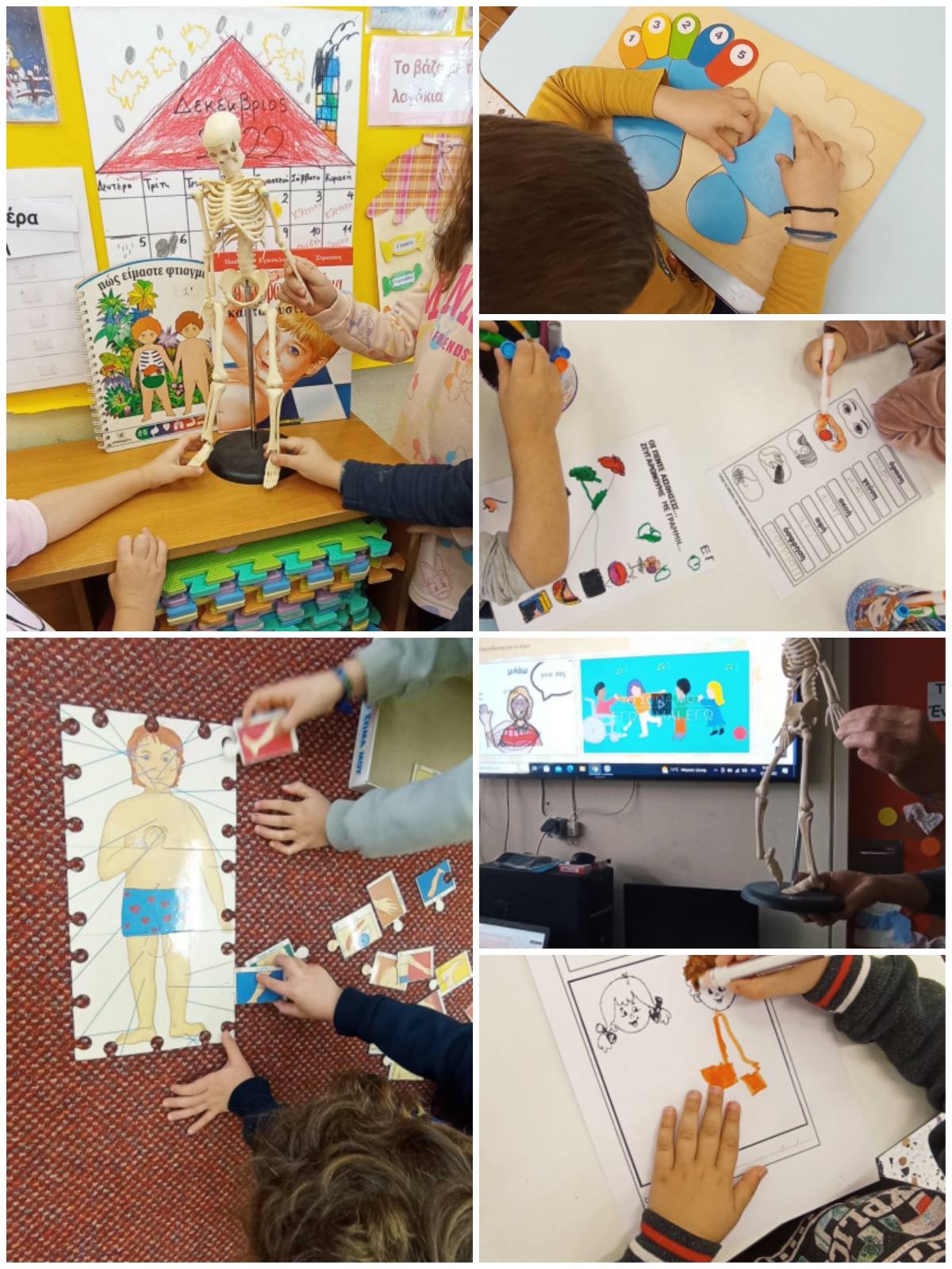 IMG 5c42381a0b391da127a8e85655e845e0 V