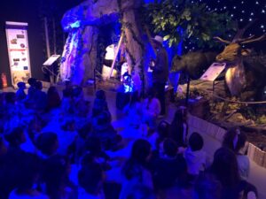 Διαφάνεια4 1