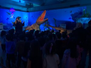 Διαφάνεια5 1