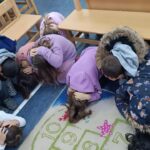 IMG df0b52c9353874c3ce285c737a0c746c V