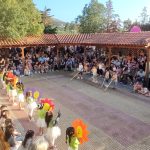 IMG 20250611 193008