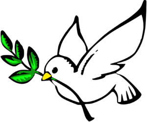 dove peace 3333px