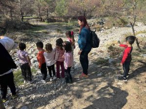 IMG 2d5ba6b3d2bfaa349dfbff7edc89f080 V