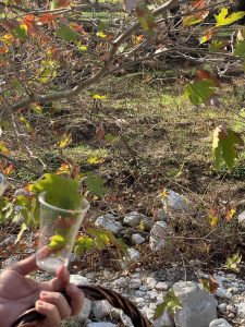 IMG 5120f72c9907e11d3cb4f44c01b91e7b V