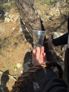 IMG 978366f28bd2fcaee4ff0a2c0496aa51 V