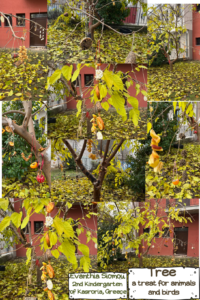 Trees decorated with edible ornaments