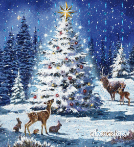 5b6dcb0a032ccfb72628bf4e889696c6 door 12 ec1d7b36a94b04222672f6eede16c87c