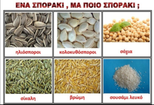 Στιγμιότυπο οθόνης 2024 11 11 195926