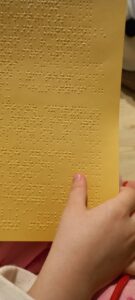 γραφη μπραιγ