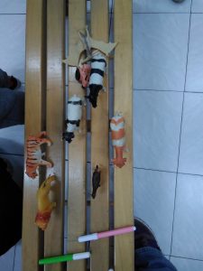 IMG 20221018 095909 981