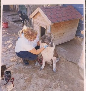 IMG 09cd23e4cf833b1cdf58051faccc25fd V