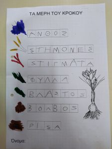 μερη του φυτου3
