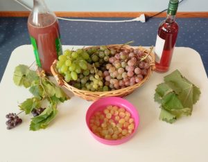 2e629dc9 d8bd 4235 af28 1092f00a7274