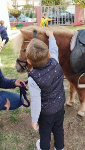 3b0b8c3c 42ed 4598 a869 f12fab0dd289