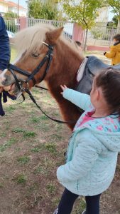 9de5d99c 58c1 4e61 bc6d f9deffa8d8ba