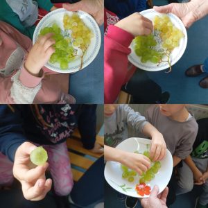 b5d4e2ba 6e6e 4cec a380 618fe662b44b