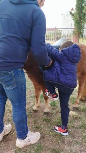 d20cae79 c9a4 427d 8d70 46372789aaa1