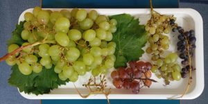 f6f85b5a 7cc4 4a2e a861 a52df50fd093