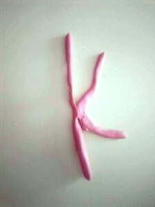 263bbc66 f17e 4d28 ac7b 17d8c863a4f7