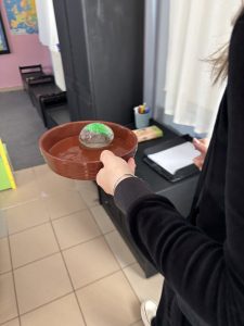 IMG 3659