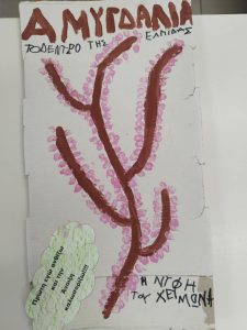 AMYGDALIA 1