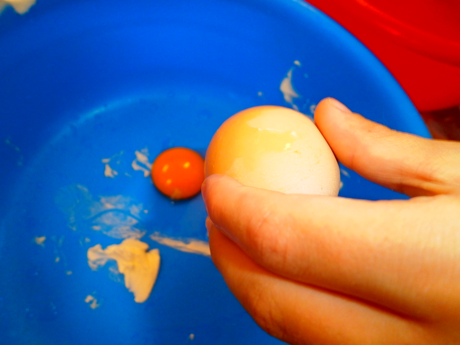 δεντρα χριστουγεννιατικα