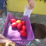 IMG 20220415 103638
