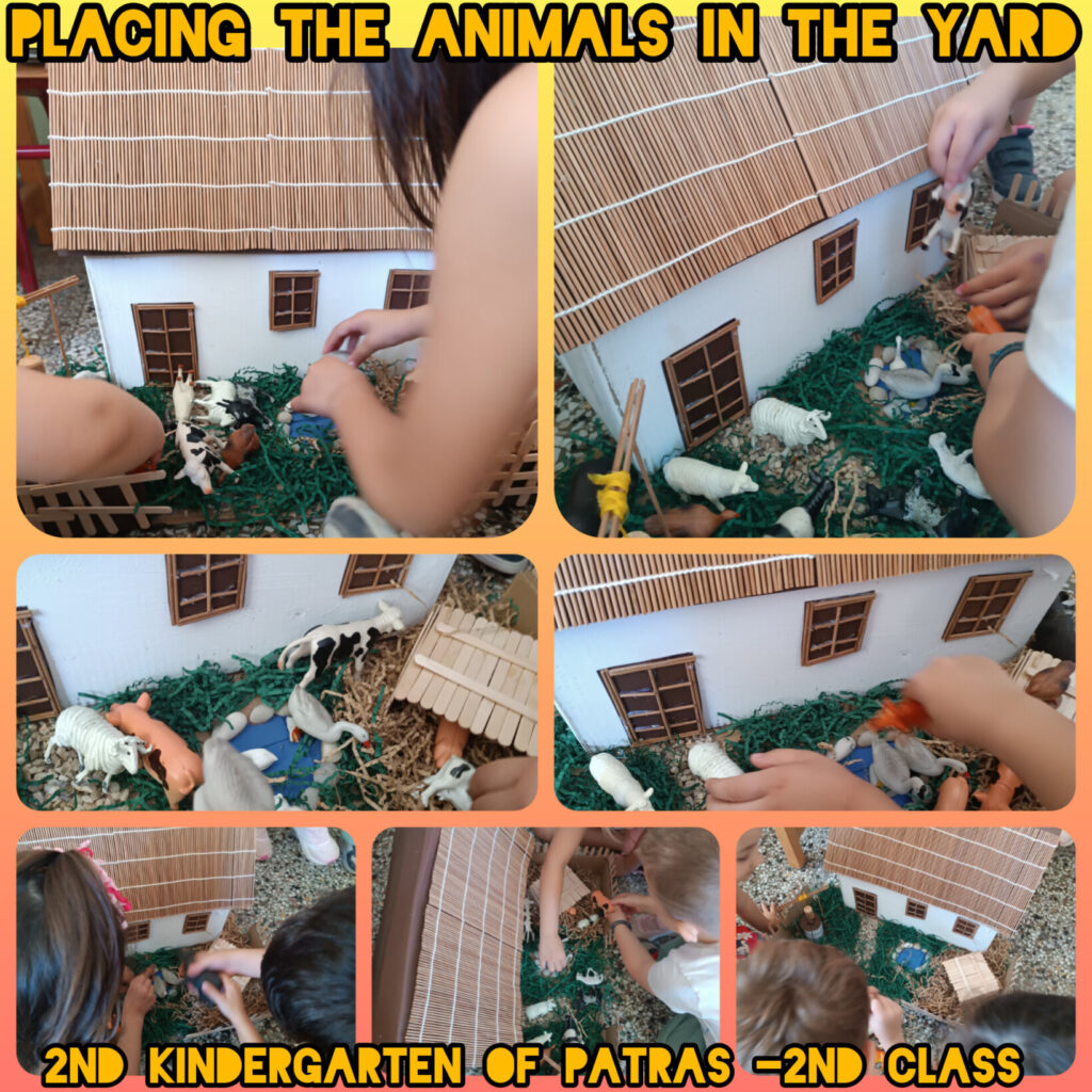 placing the animals in the yard