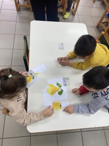 IMG a05d2d735b21caf29ca3a83e3e7169db V