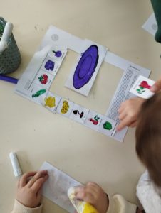 IMG 5588