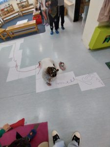 IMG 8664
