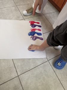 IMG 0956