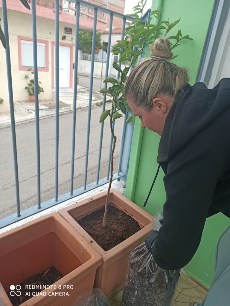 IMG 09fd03f62259d8df55f58adcdbec1fac V