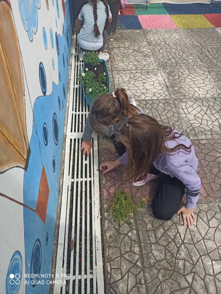 IMG 0f9ec49fc58f78272941aa854169e6e2 V