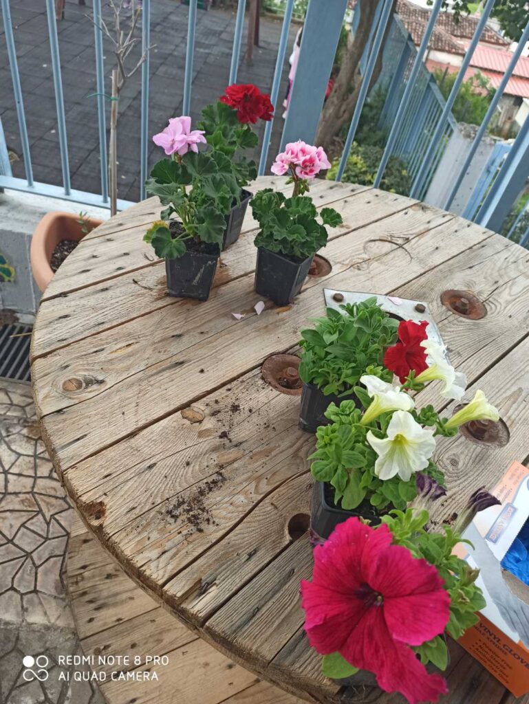 IMG 38f3a0426a0ce56c3a613c8bd6fdd4f8 V