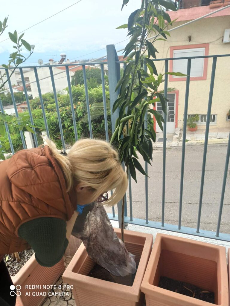 IMG 45a5d3669e565c5ea6f41b89bcdd20c8 V