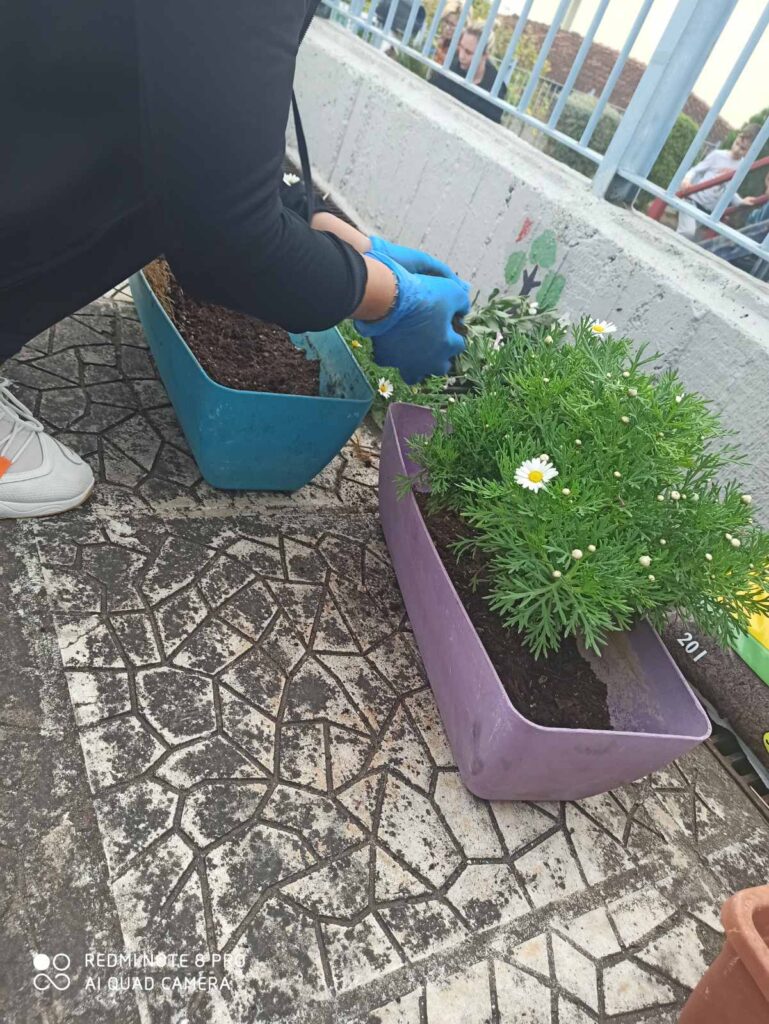 IMG 4c353ccd20e69eb8bc8a3b080aad2e01 V