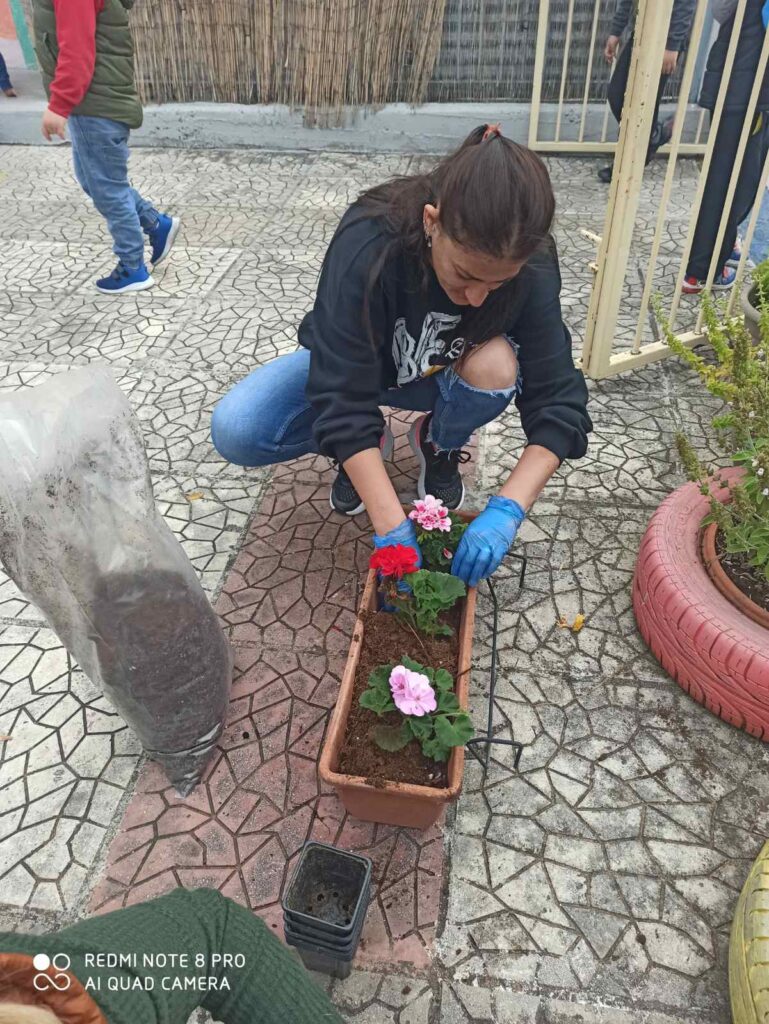 IMG 6e79dd61e2cff67190c582c5f9f67c85 V