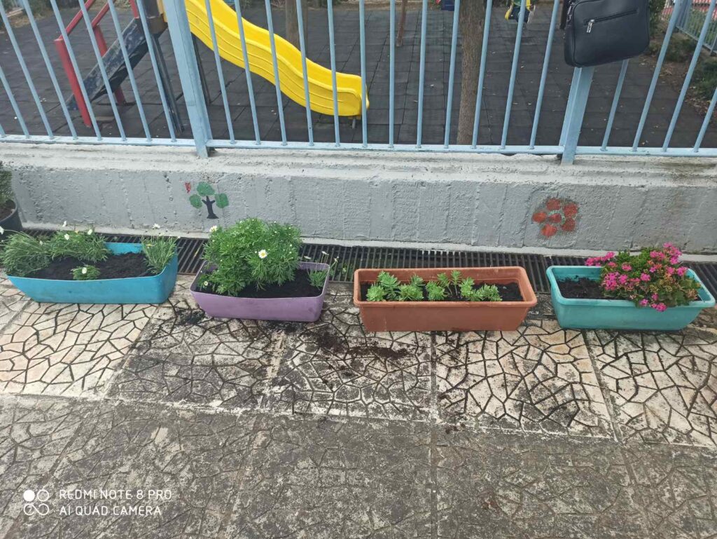 IMG 779a5d8462e00a742d6d42dc6bae5874 V