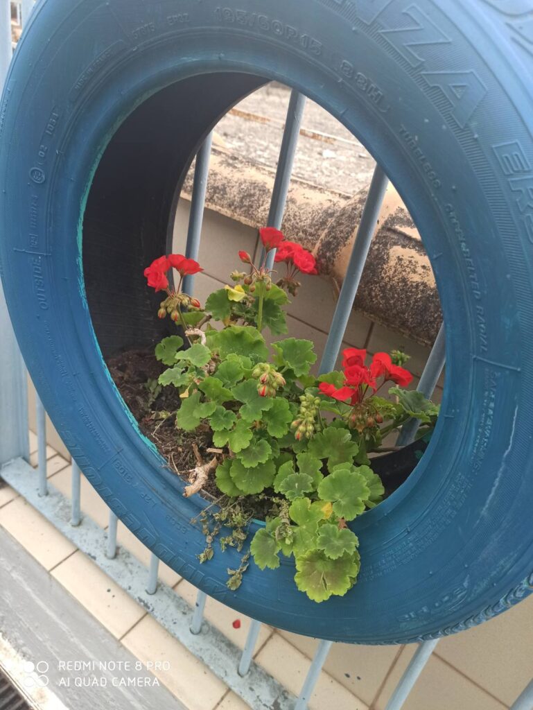 IMG 7c9f131681a156b277bade10c5aa4911 V