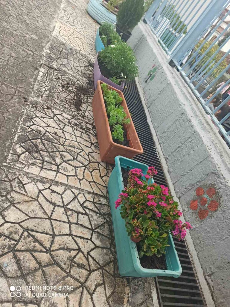 IMG 8c38d877eed3f6e13f22ce3cc9581bc7 V