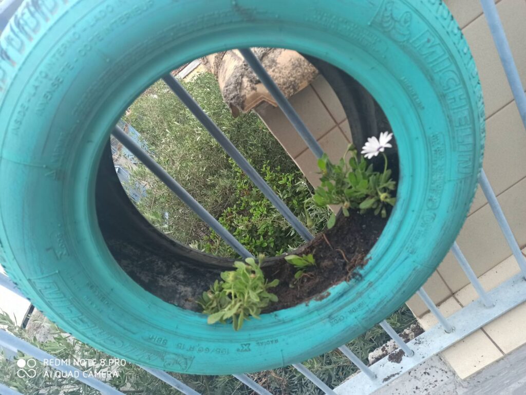 IMG a3fa44d98611127796bbf0ee436a92e6 V