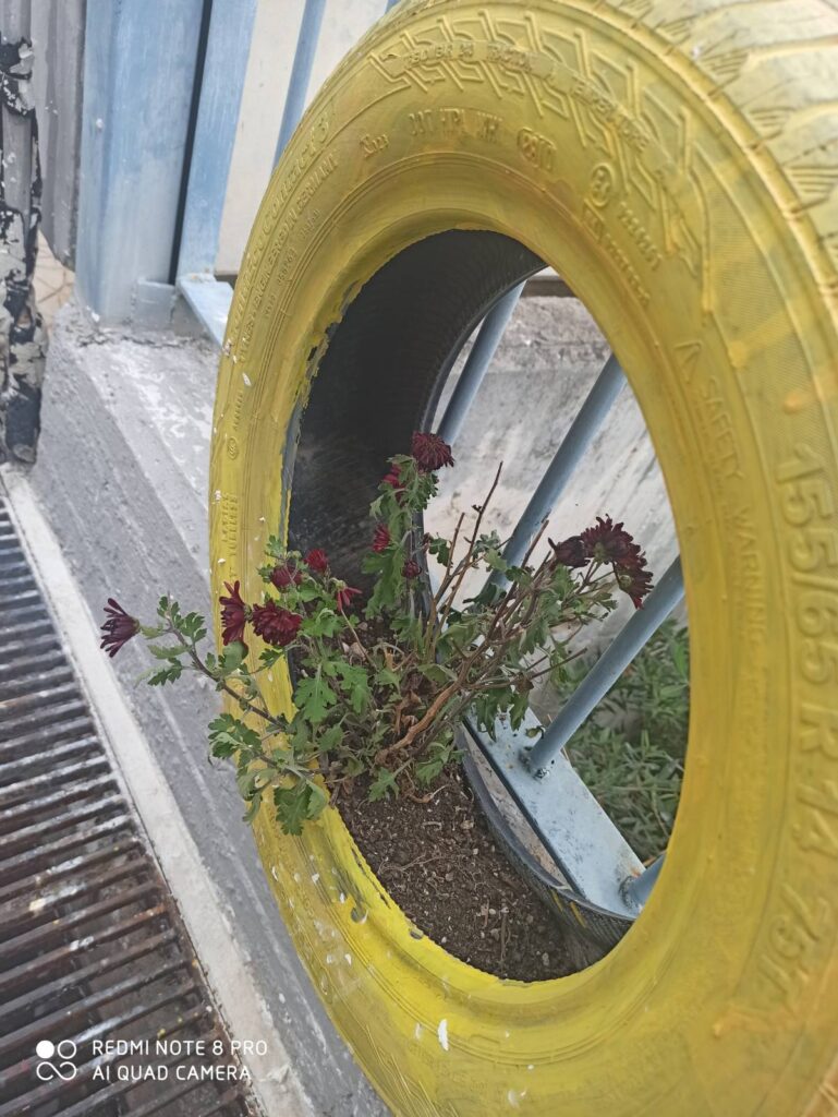 IMG c2b8bdf5b7138f2c5e7a463668d96d65 V