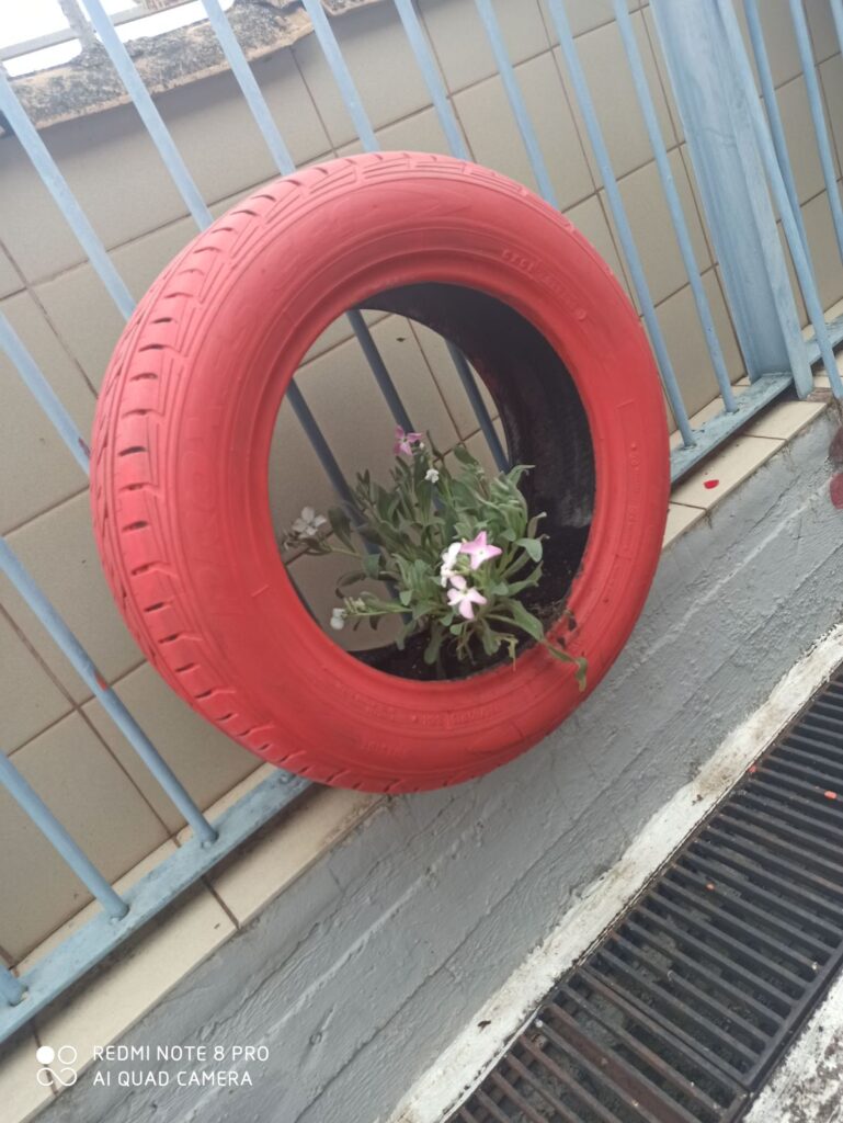 IMG cfc5fd2db1ac3cf31dbd719c79e48d15 V