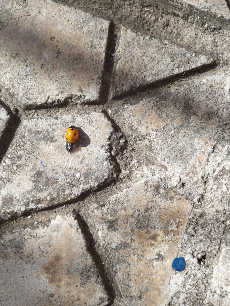 IMG 20231114 111403 1